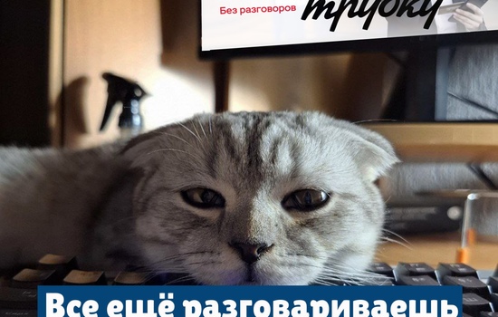 Полезная информация