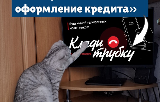 Полезная информация