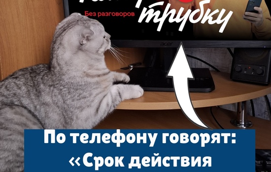 Полезная информация