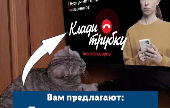 Полезная информация