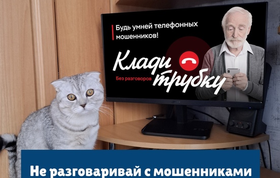 Полезная информация